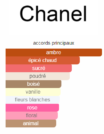 cocoChanel2